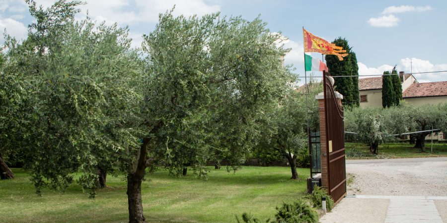 Want a classic Italian experience? Visit my favorite olive oil farm: Bonamini frantoio, just outside Verona.