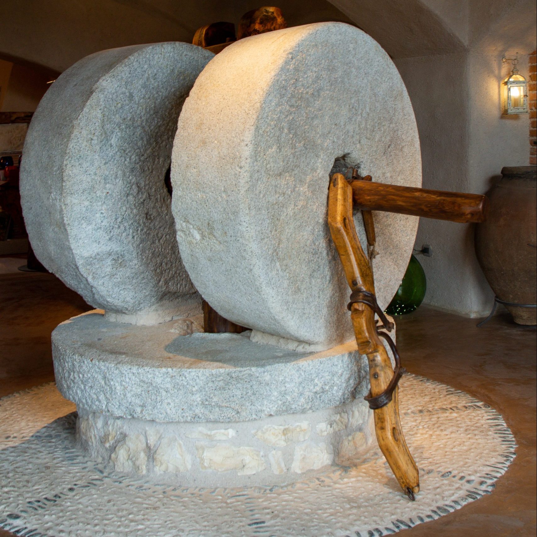 Exploring an olive farm at Bonamini frantoio