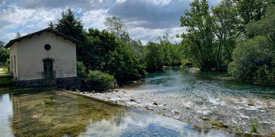 Want a spring bucket list to inspire you as the weather warms up? With both warm weather and social-distanced ideas, I've got you covered! | Teaspoon of Nose