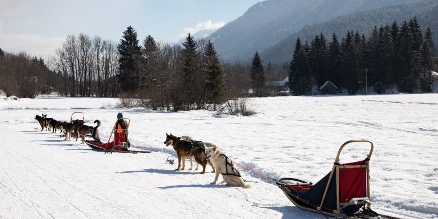If you're looking for winter fun in northern Italy, a weekend in Tarvisio will hit all the high points!