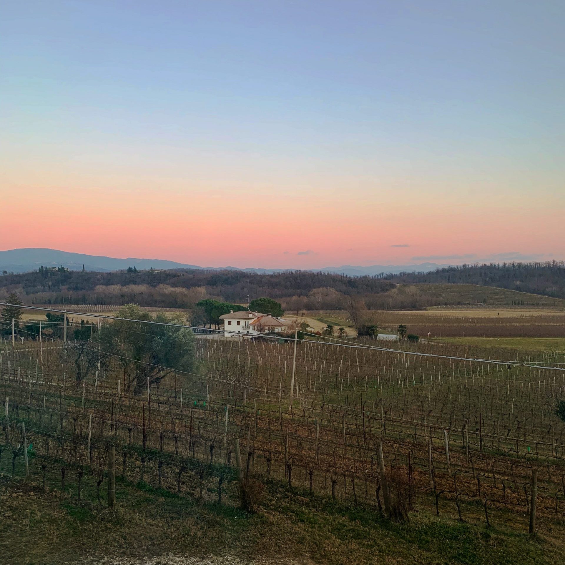 Exploring Friui Venezia Giulia's wine regions!