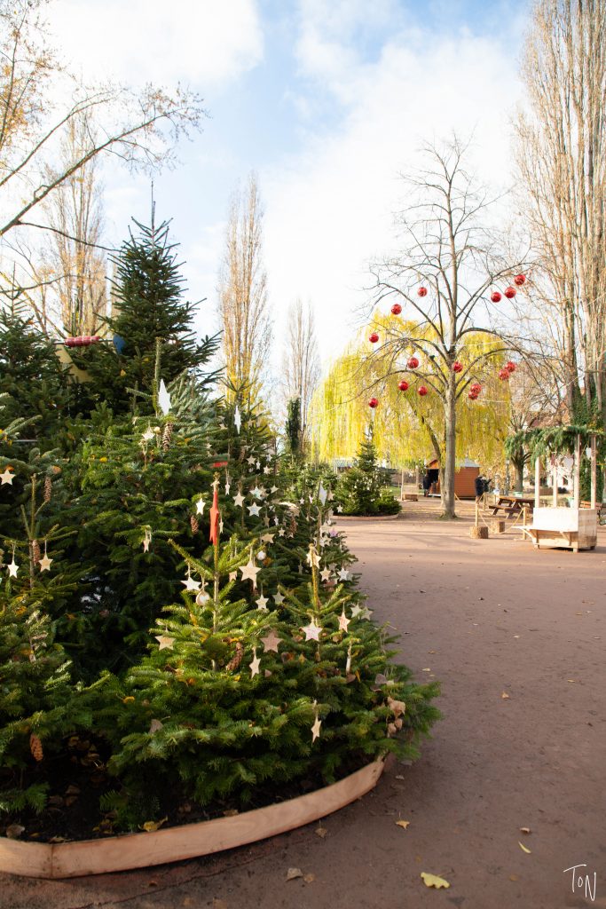 Want to plan the perfect trip to experience the Strasbourg Christmas markets?? I've got your full guide on Teaspoon of Nose!