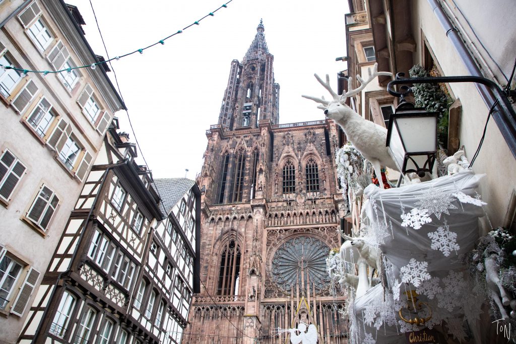 Want to plan the perfect trip to experience the Strasbourg Christmas markets?? I've got your full guide on Teaspoon of Nose!