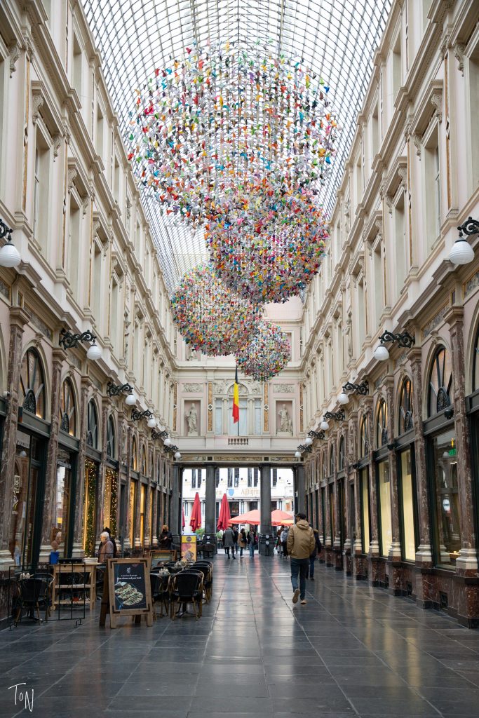 Thinking of heading to Brussels? Here's everything you need to know before you go!
