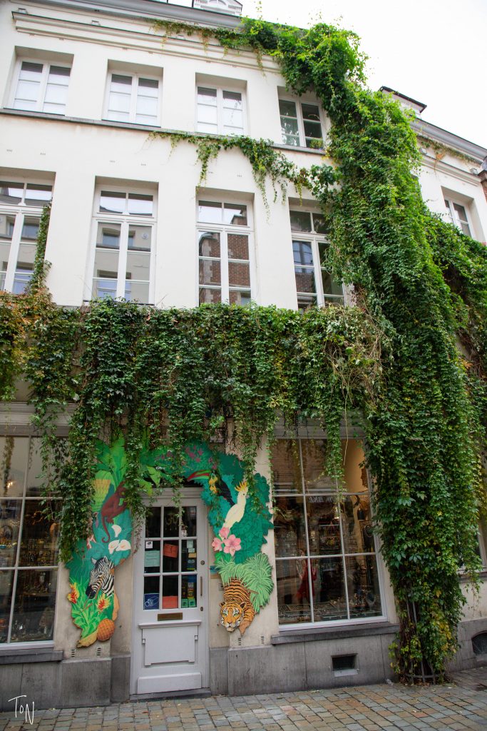 Thinking of heading to Brussels? Here's everything you need to know before you go!