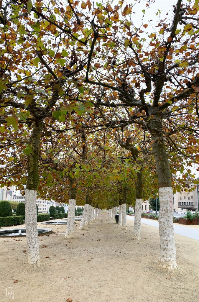 Thinking of heading to Brussels? Here's everything you need to know before you go!