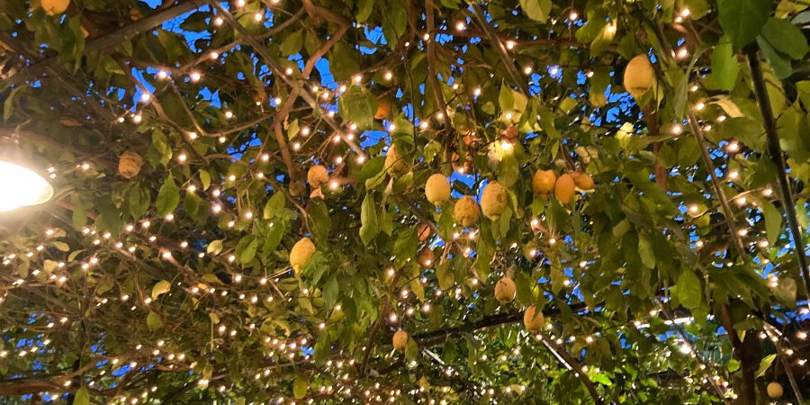 Eating in a lemon grove in Sorrento is peak Amalfi Coast!