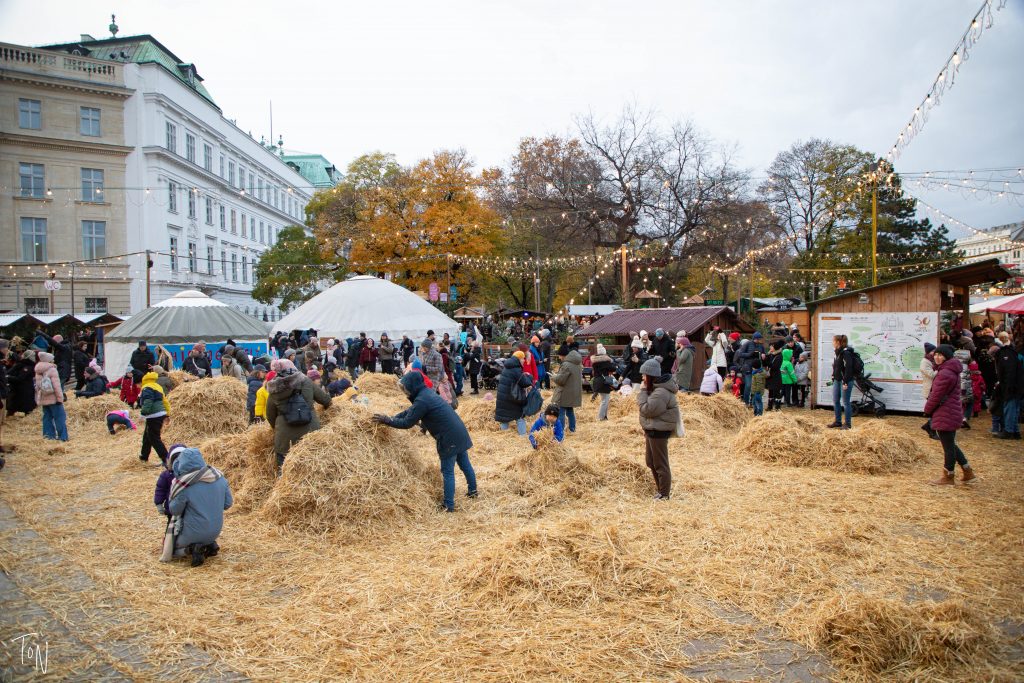 Vienna Christmas markets funniest part