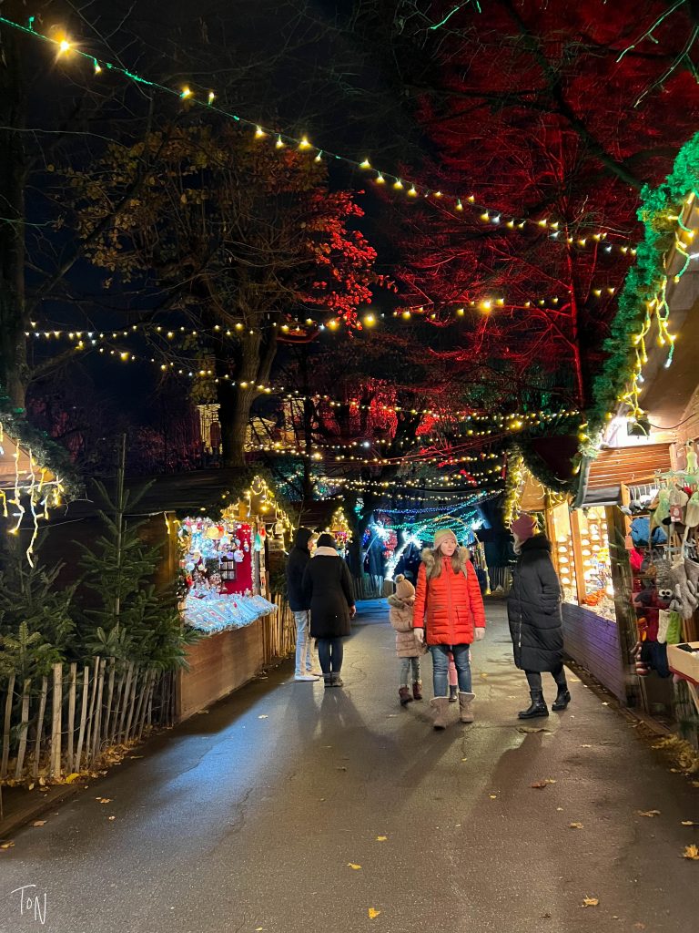 Vienna Christmas markets local christmas markets