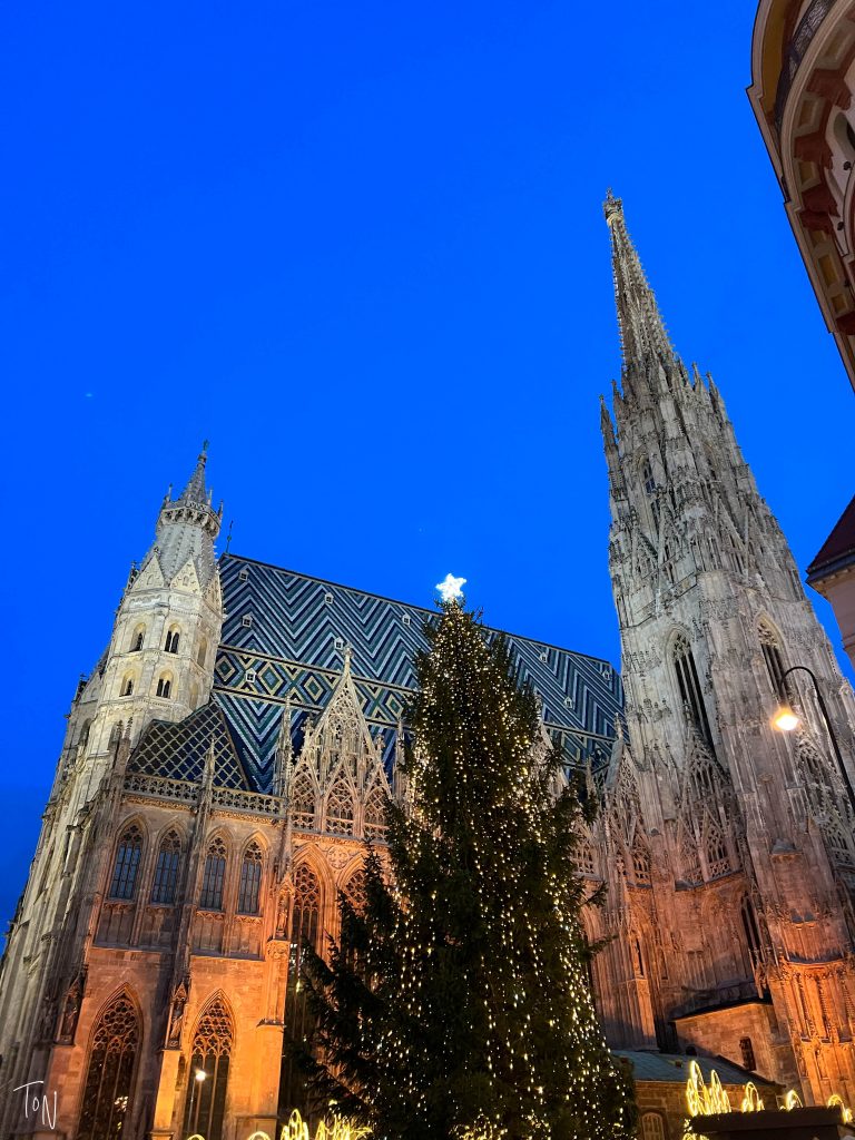 Vienna Christmas markets St Stephen's Cathedral