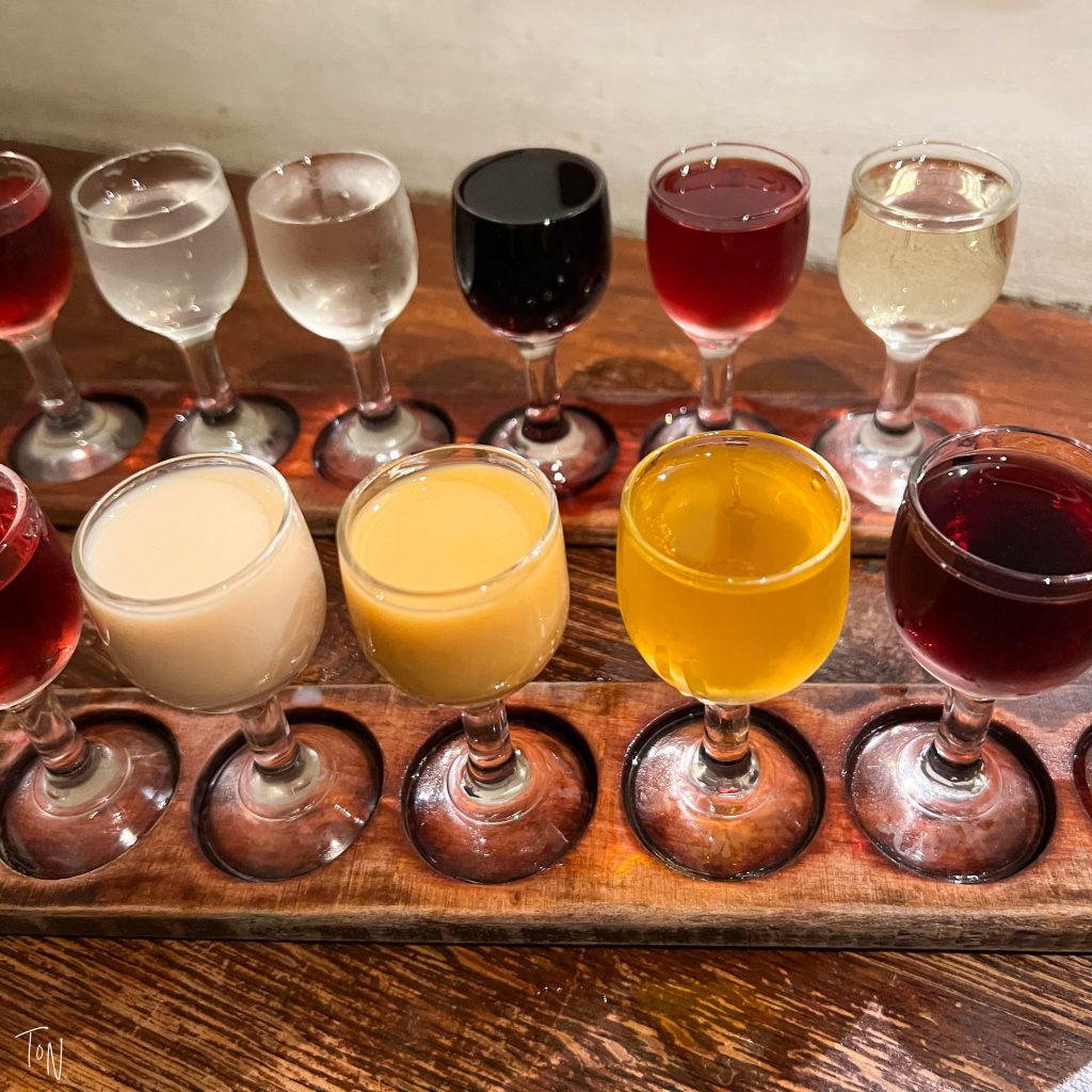 Taste testing flavored vodka in Krakow