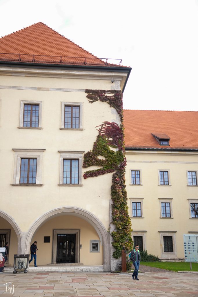 Wawel Castle - spot the dragon?