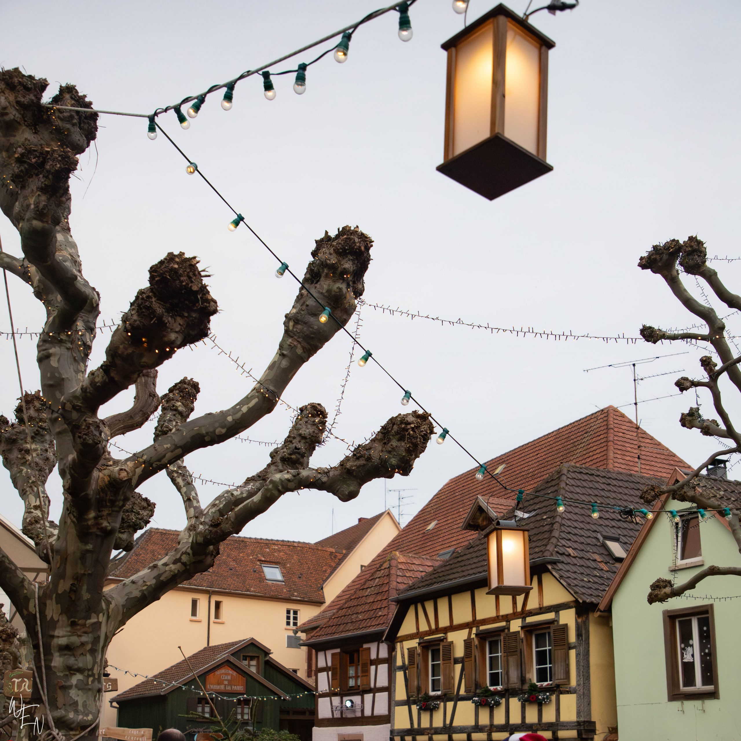 Everything you need to know about the Rothenburg Christmas markets