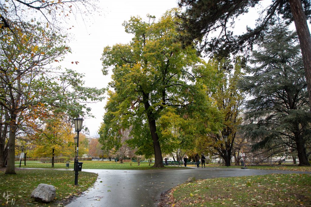 Free things to do in Vienna parks