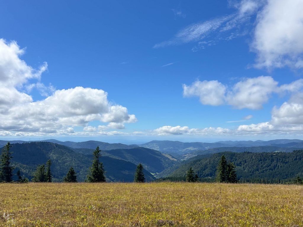 Feldberg has Black Forest views for miles