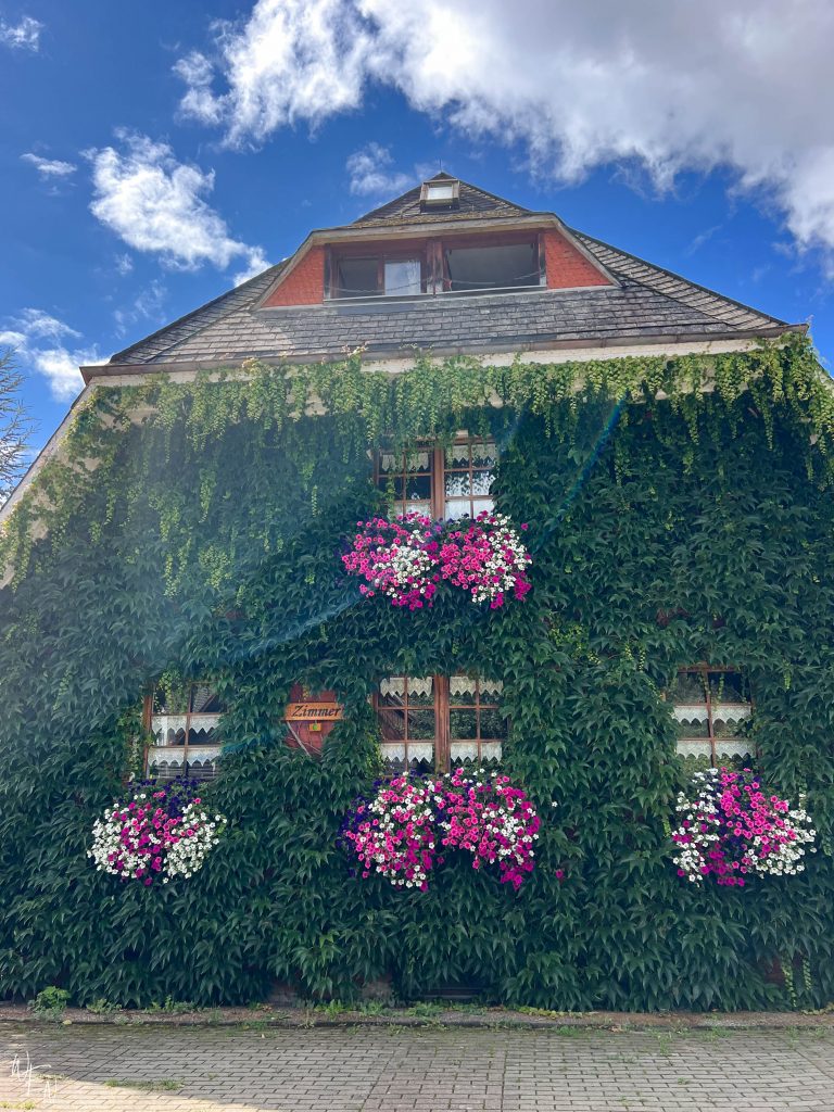 Lake Titisee has the cutest architecture