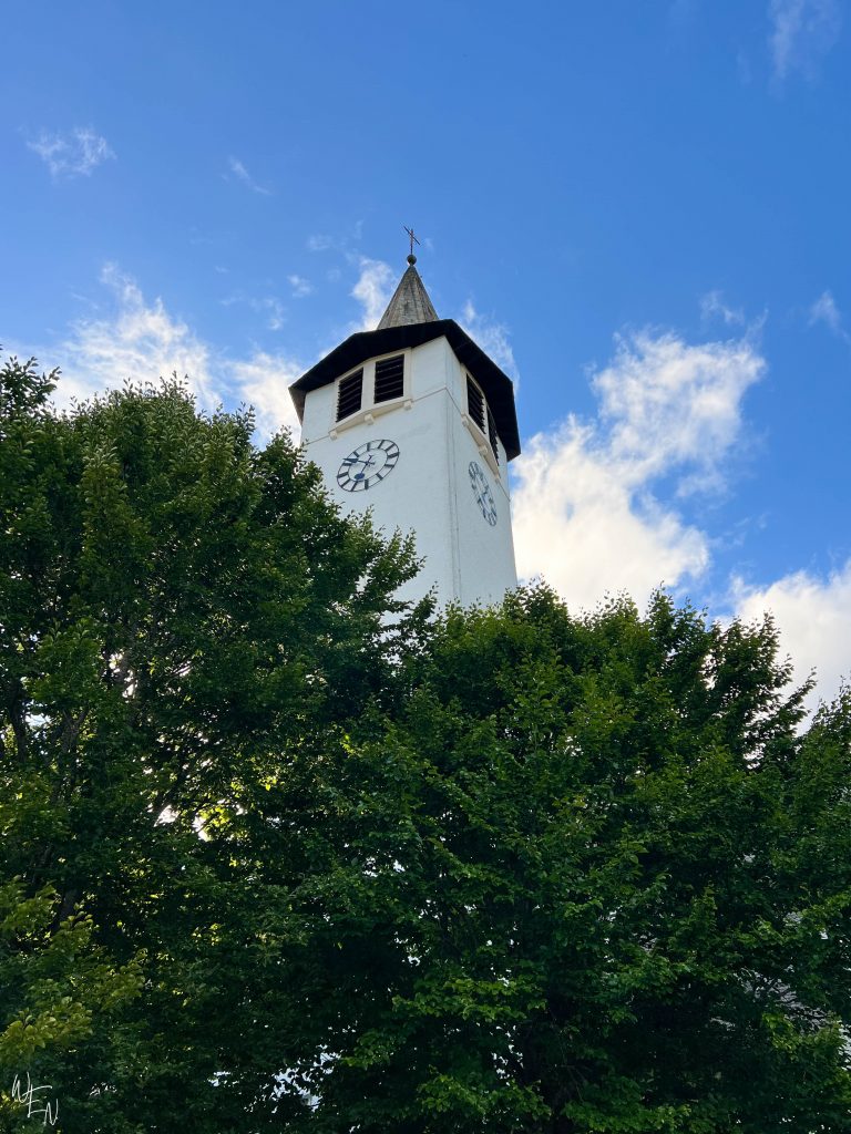 Explore lake Titisee