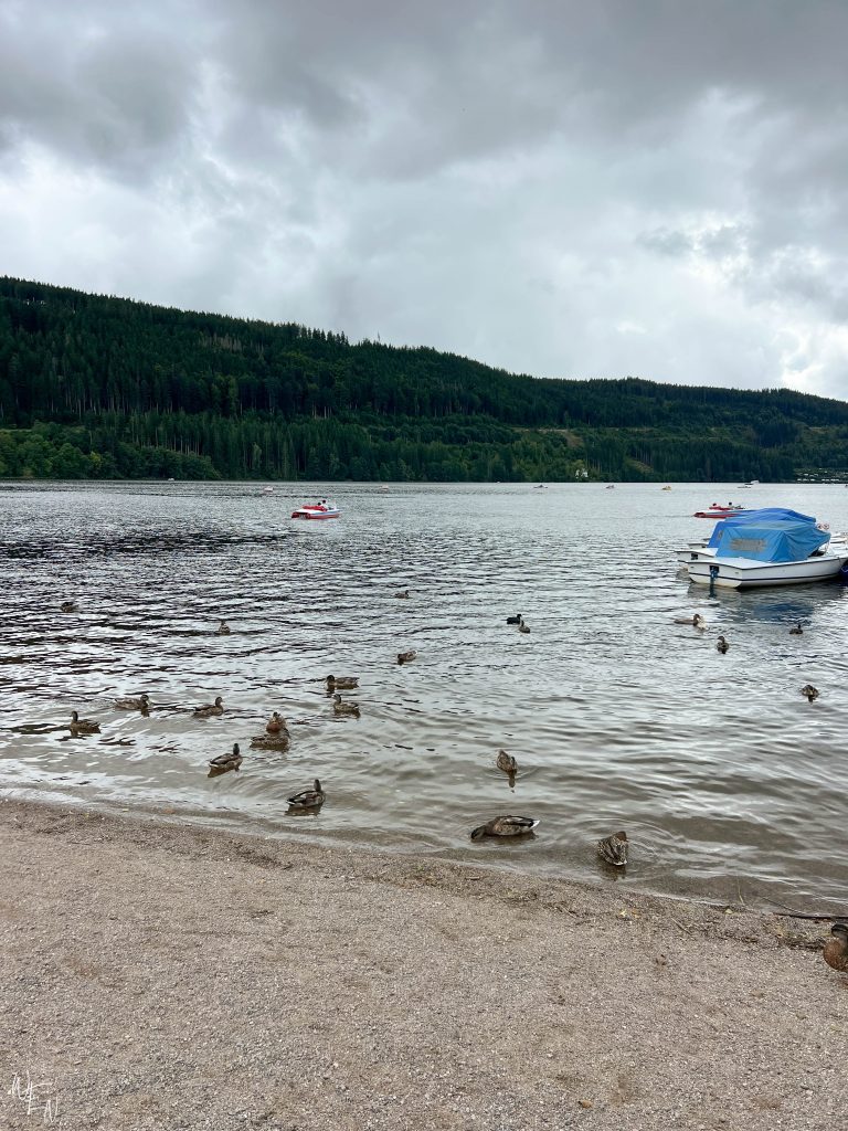 Exploring Titisee in the Black Forest, Germany