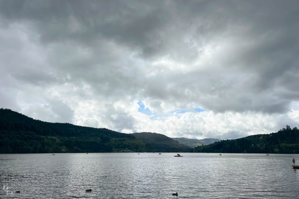 Explore Titisee by boat in the Black Forest