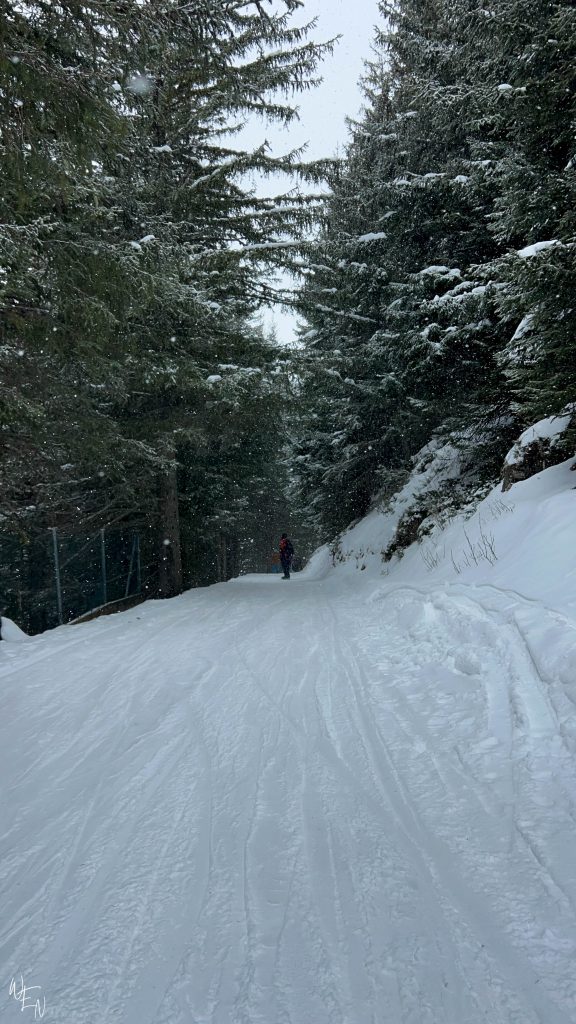 The best sledding in the Alps