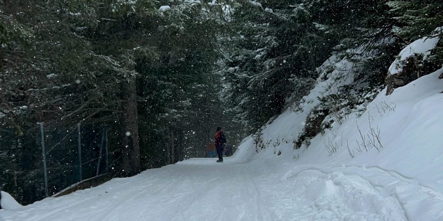 The best sledding in the Alps