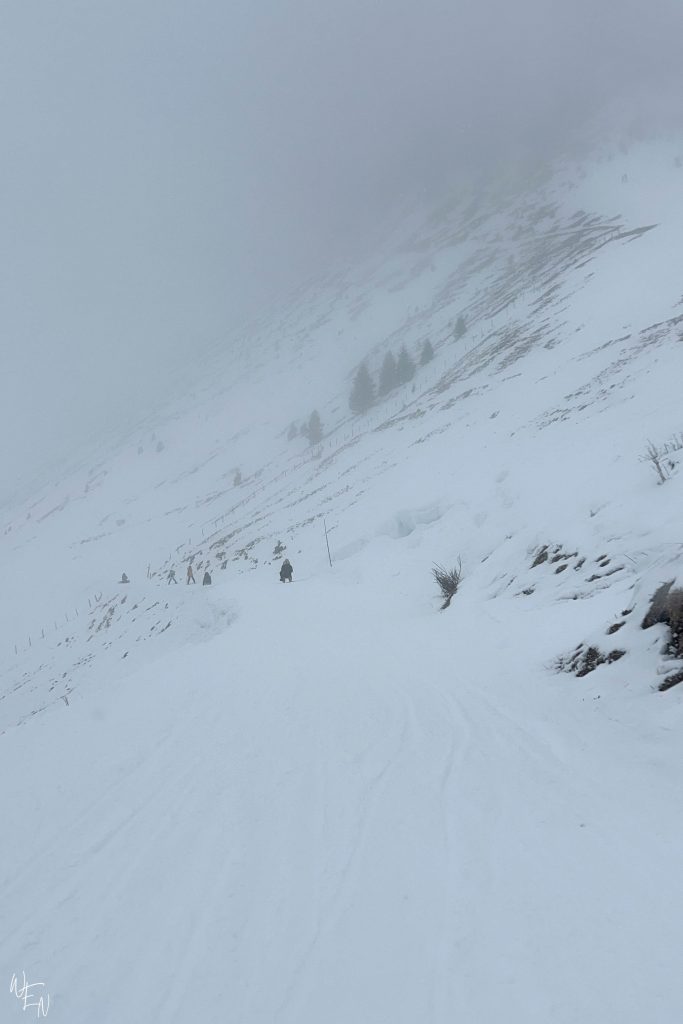 Sledding in the alps