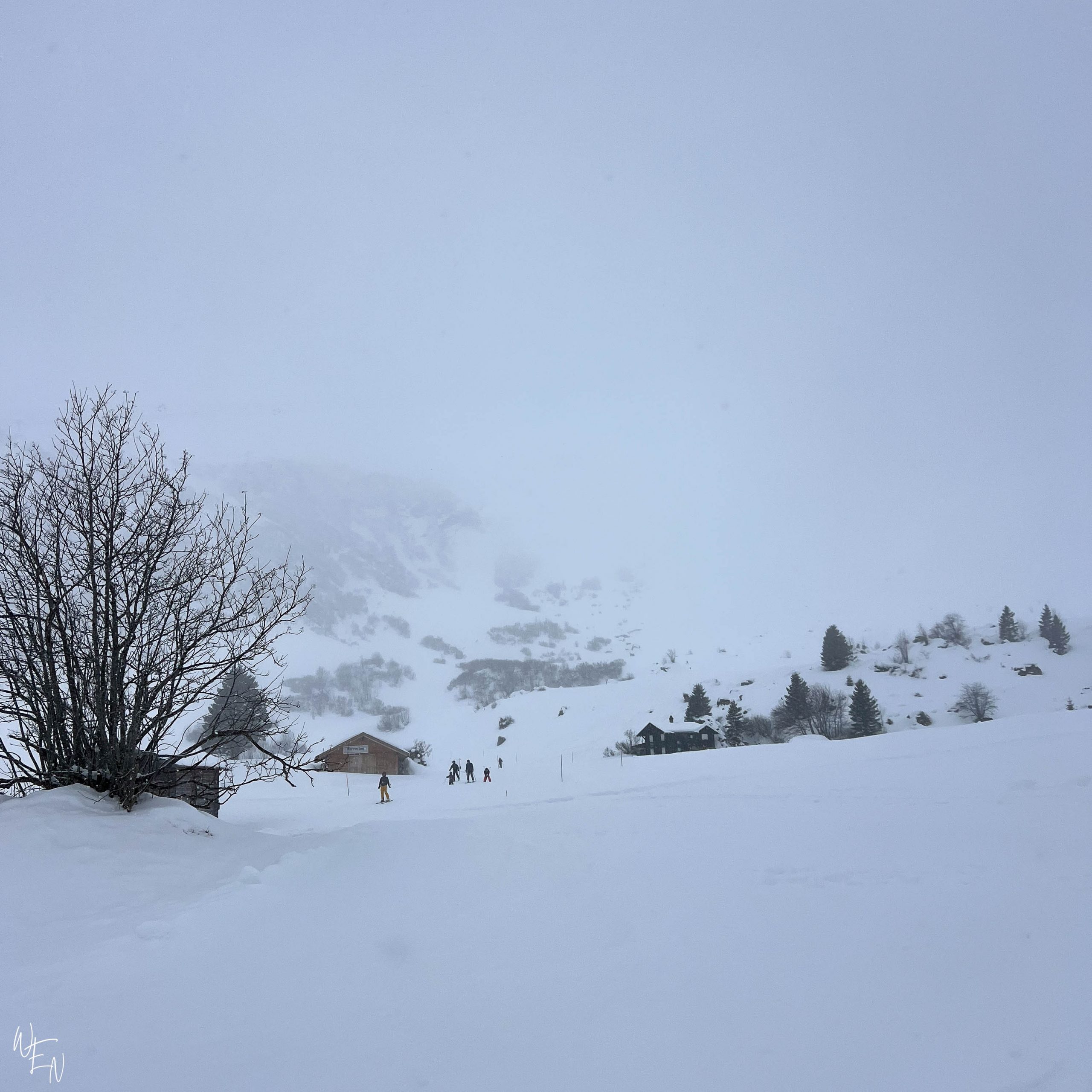 The Best of the Swiss Alps are in a town you've never heard of!!