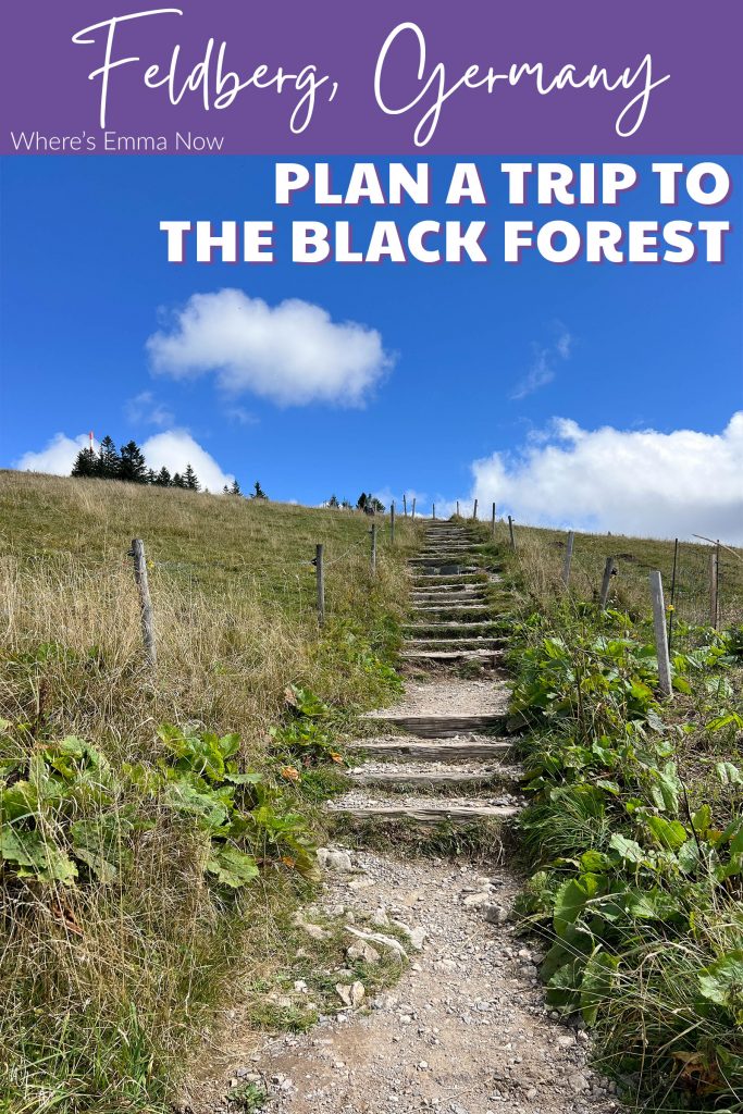 Hiking in the Black Forest Feldberg cover