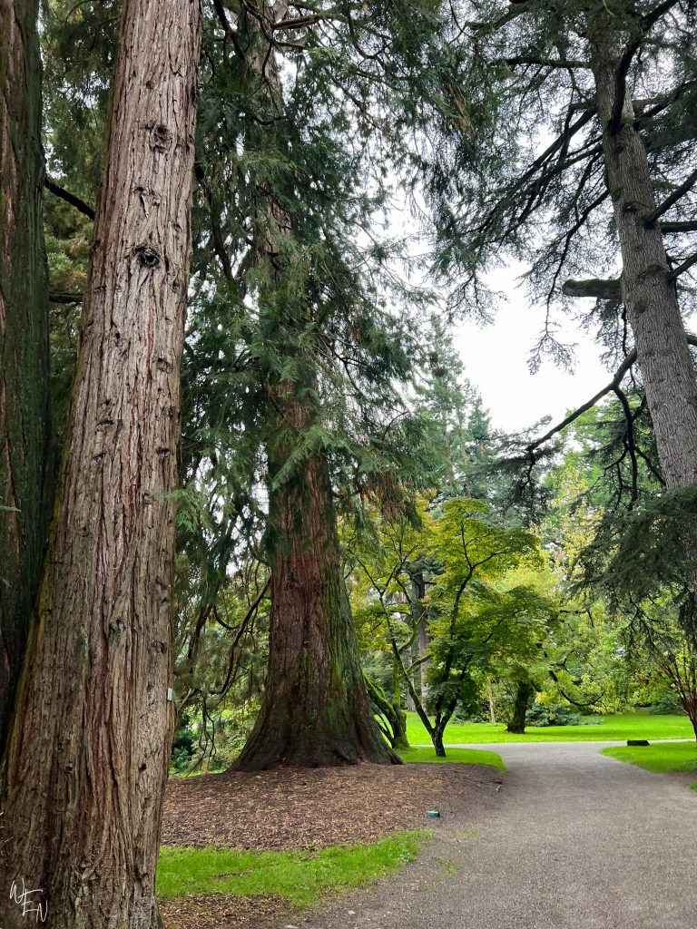 Mainau arboretum in Lake Constance