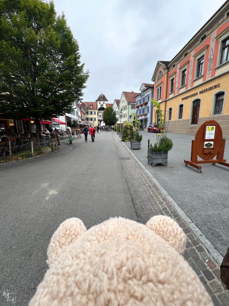 My view of Meersburg, Lake Constance, Germany
