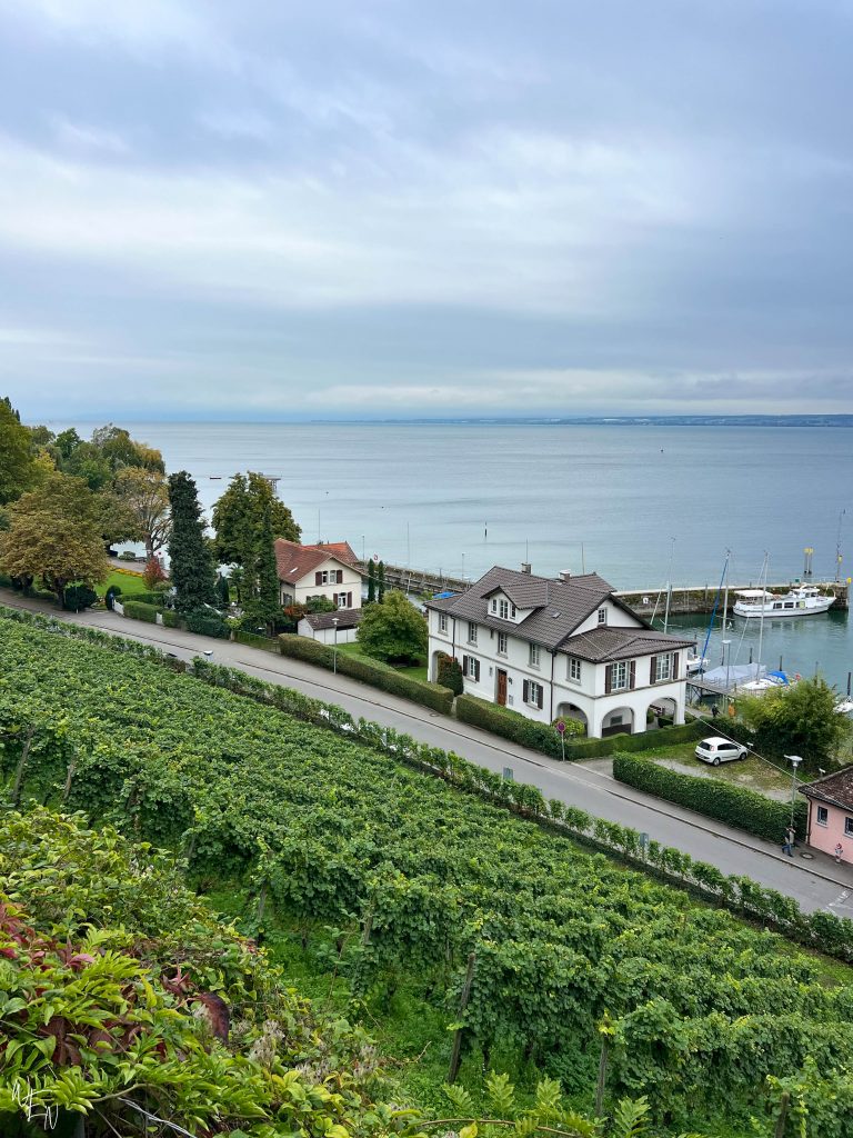 The vineyards of Meersburg, Lake Constance, Germany