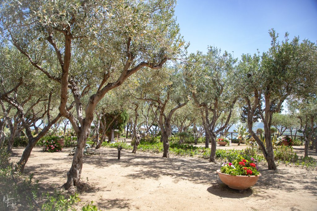 Explore Tropea's garden oasis