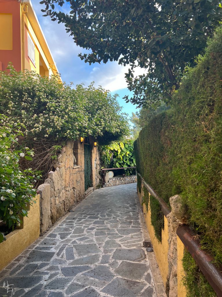 What to do in Paphos Cyprus