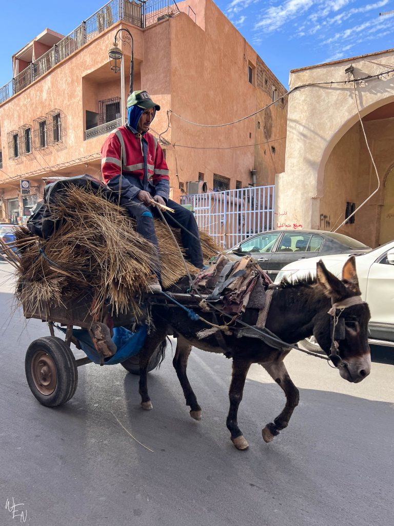Your first visit to Marrakech guide - Morocco