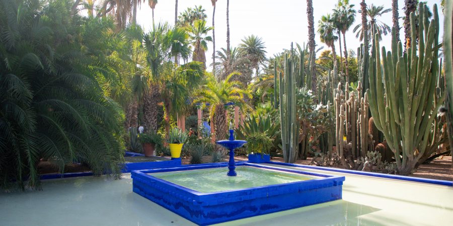 Visiting the best spots in Marrakech