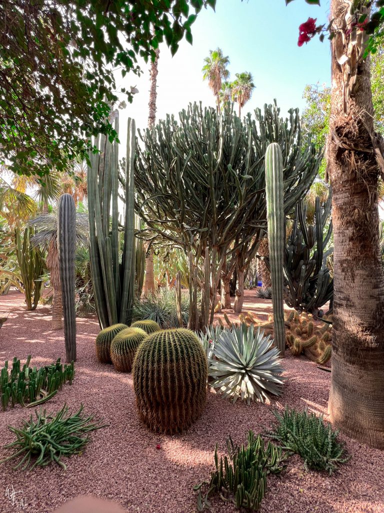 What's worth seeing on your first visit to Marrakech, Morocco