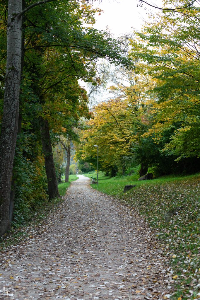 Walking to the Rhine falls in Swtizerland