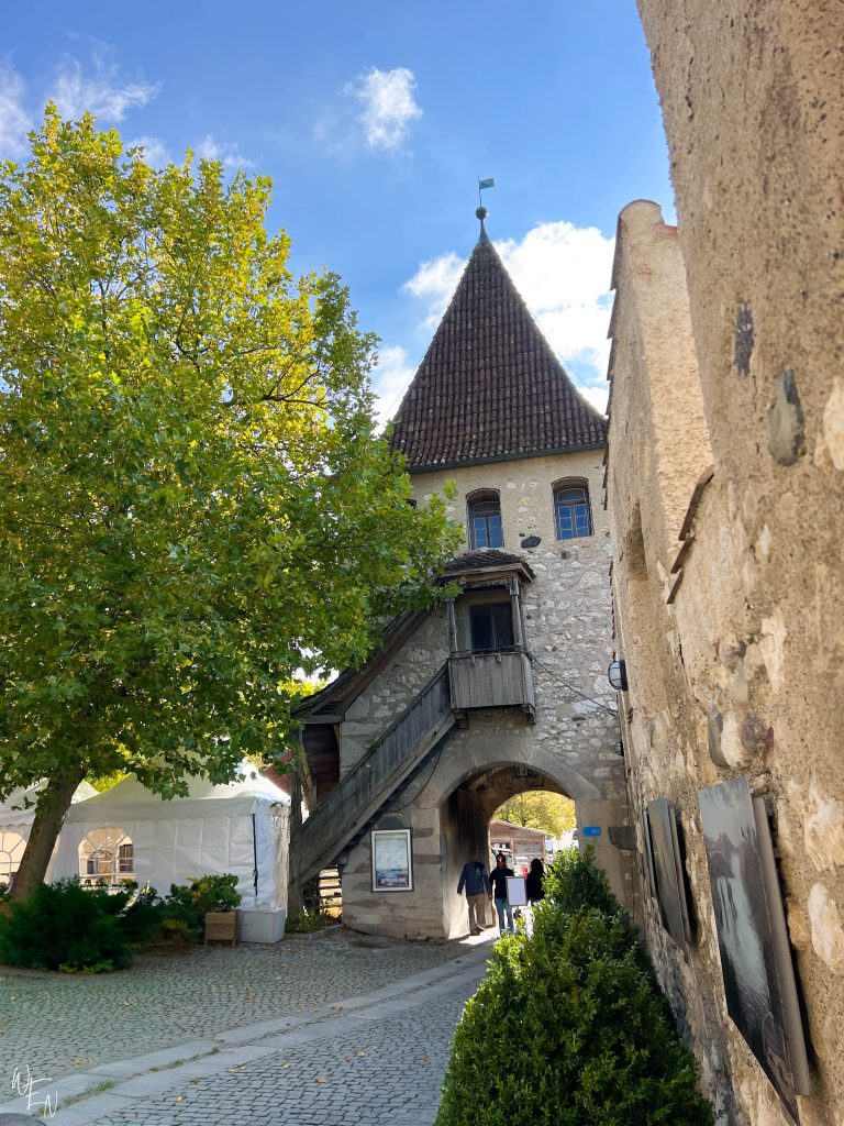 Exploring the Rhine Fall's castle, Schloss Laufen
