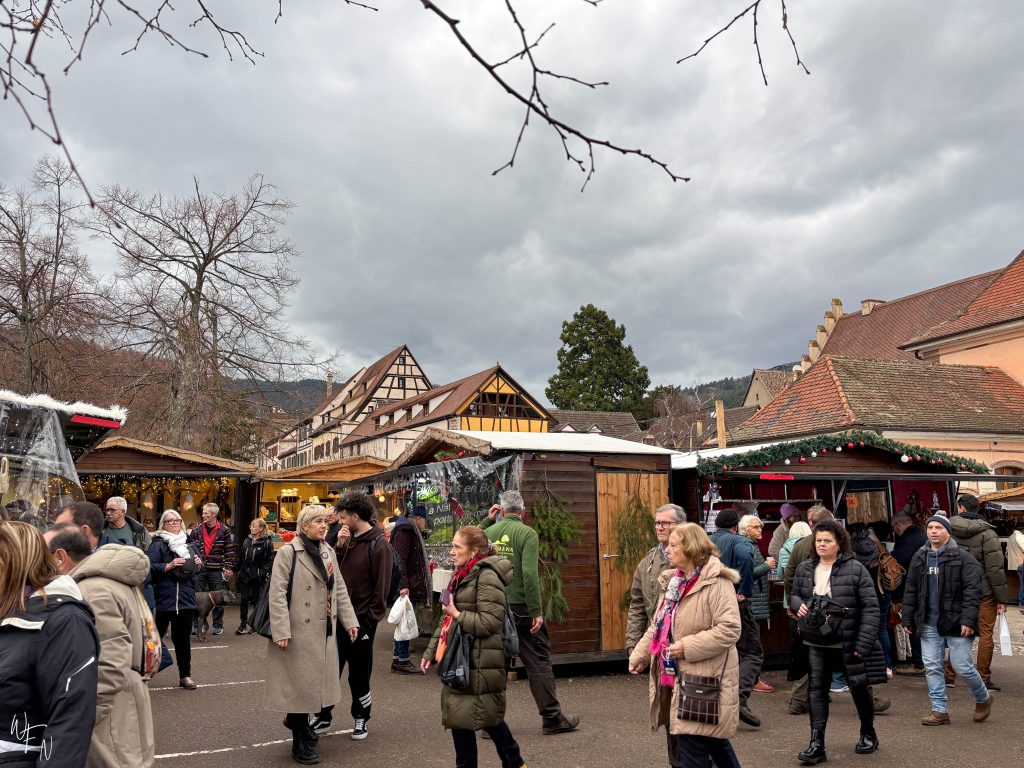 Explore the Riquewihr Christmas market